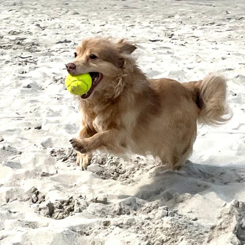 WhatsApp Image 2025-04-02 at 23.21.27